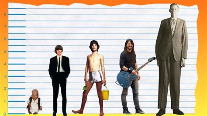 Unveiling Ringo Starr's Height: Discoveries And Insights