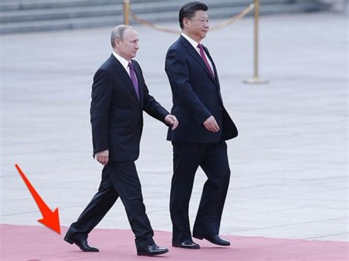 Unveiling The Enigma: Putin's Height Revealed