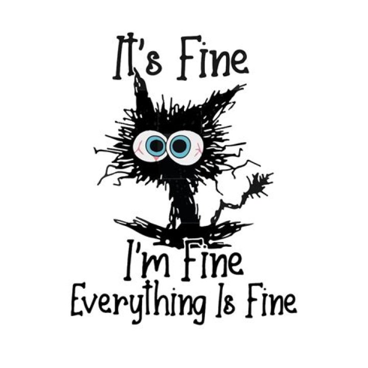 Unveiling The Hidden Truths Behind "I'm Fine, It's Fine, Everything's Fine"