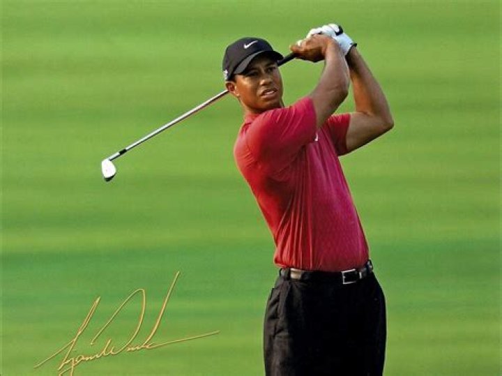 Unveiling The Secrets Behind "Images Of Tiger Woods": Discoveries And Insights