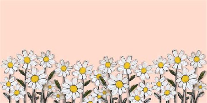 A Comprehensive Guide To Kaley Cuoco's Parents' Well-Being