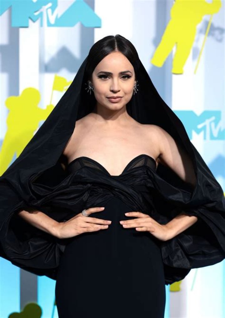 Sofia Carson's Pregnancy Journey Explored