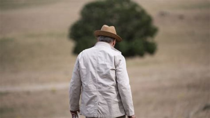 Unveiling The Jewish Heritage Of James Spader: Discoveries And Insights