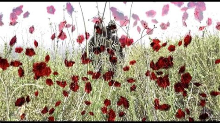 Unveiling The Enigma Of Jgrxxn's Age: Discoveries And Insights