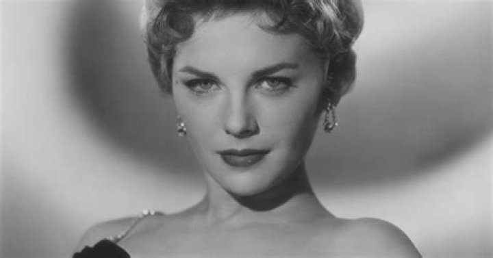 Insights For The "Who5" Niche