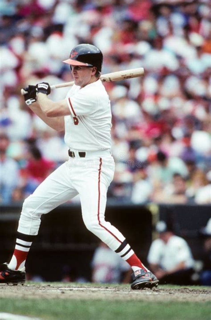 A Journey Of Versatility, Durability, And Success