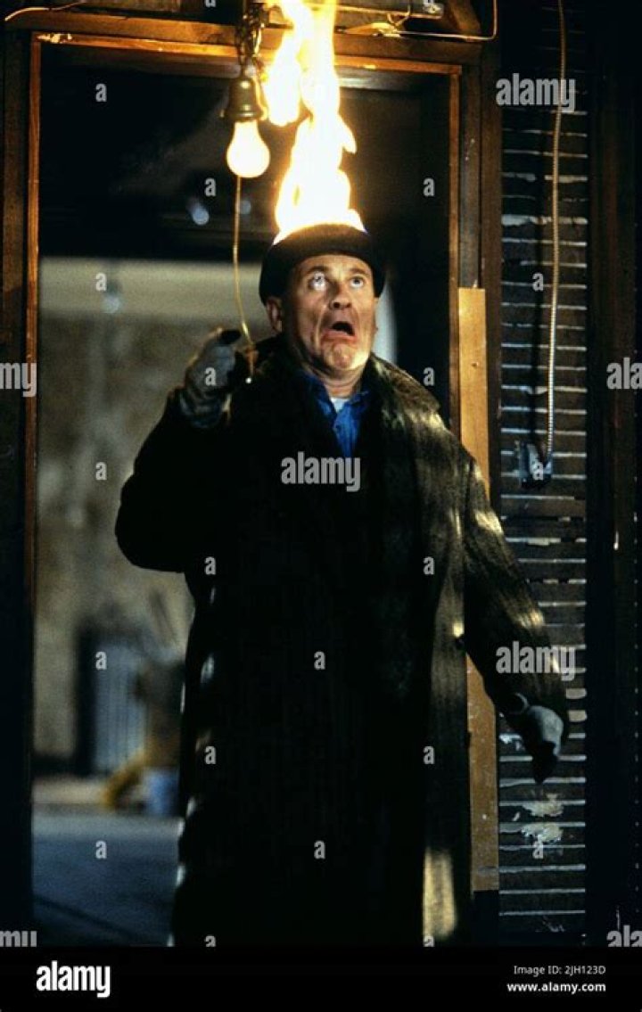 Joe Pesci's Age In "Home Alone"