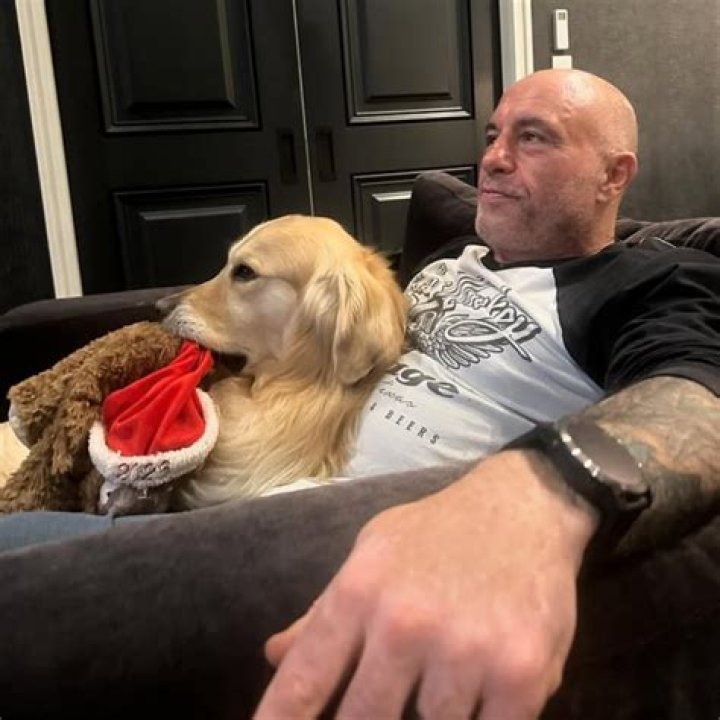 Unlock The Secrets Of "Joe Rogan Insta": Insights And Discoveries