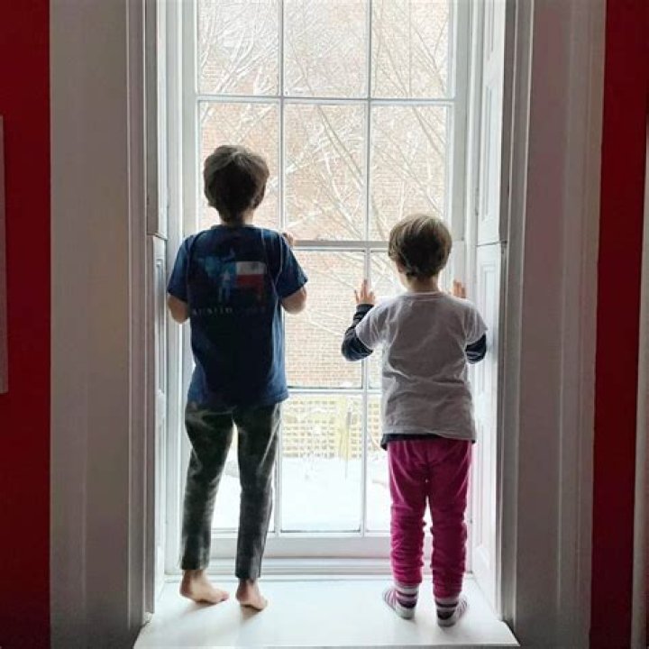 Discoveries And Insights For Poultry Enthusiasts