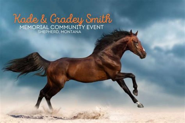 Discoveries From Kade Smith, Montana's Shepherd