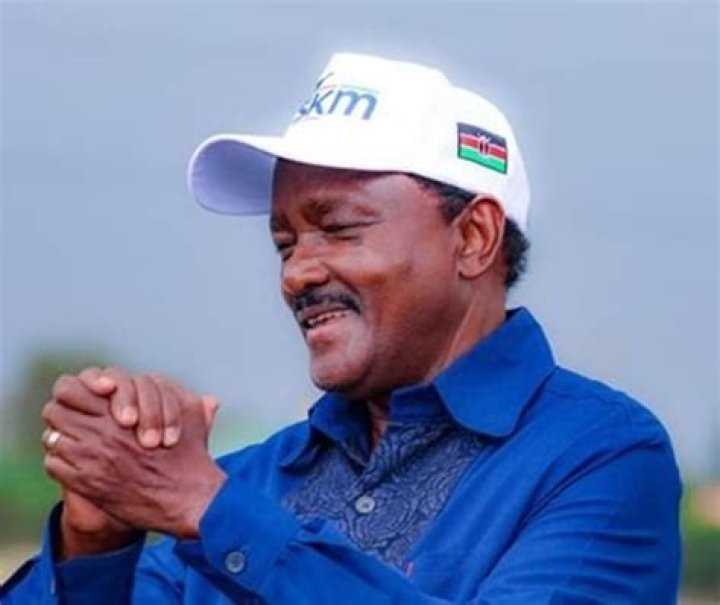Unveiling Kalonzo Musyoka's Net Worth: Discoveries And Insights