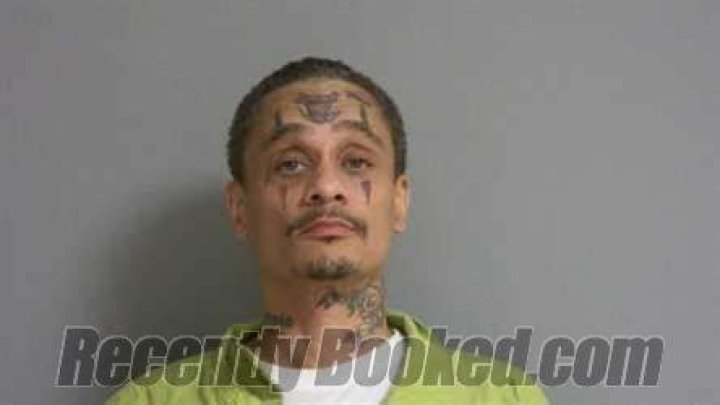 Discoveries And Insights For The Tech Industry