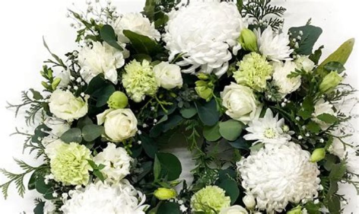 Exploring The World Of Kyle Loeschen