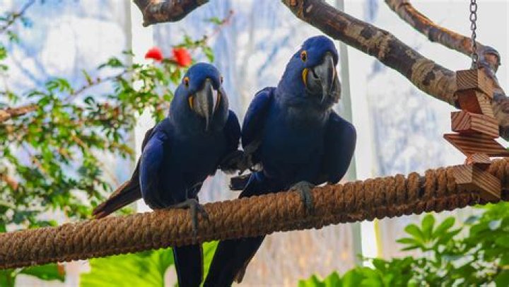 Discoveries In "Lewd Laundrynikki Mars, Jason Legend"