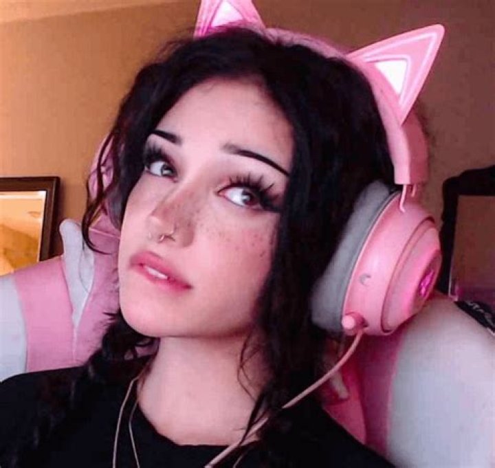 A Promising Journey Into Content And Controversy