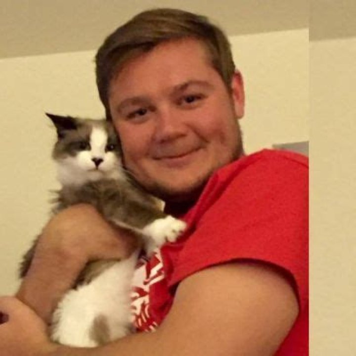 Unveiling The Rise Of Logan Einerson: A Star Ascendant