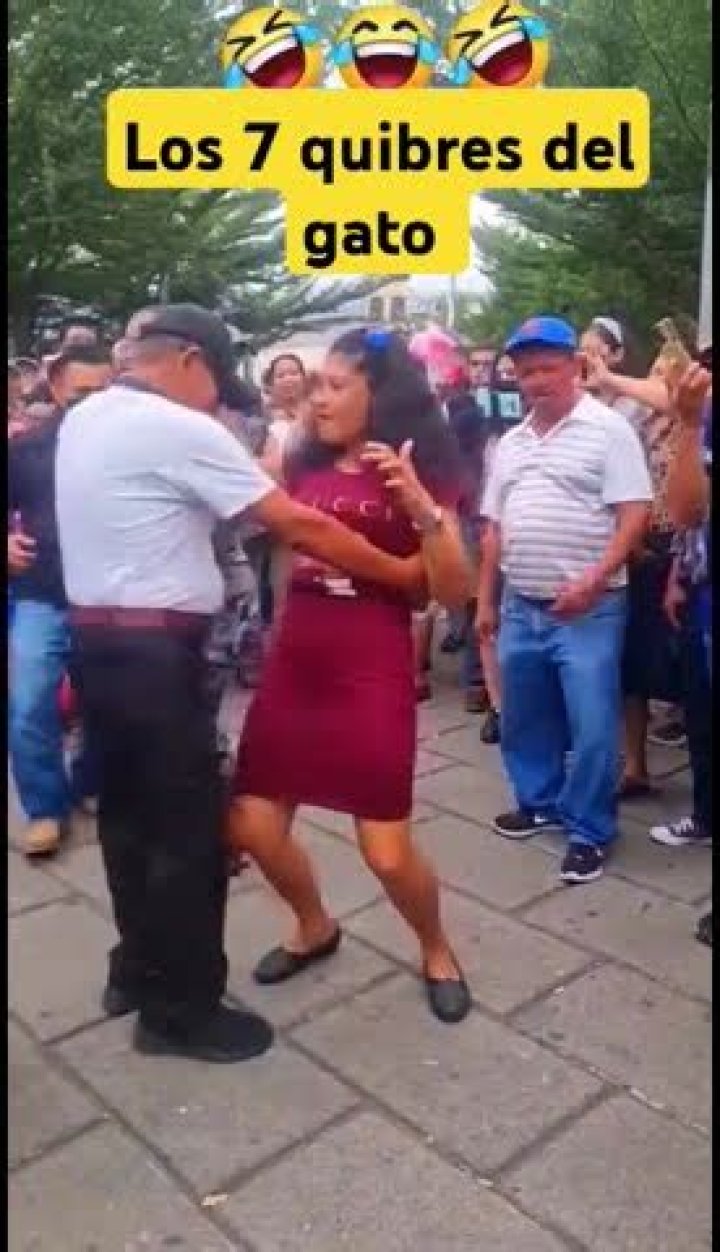Discover The Secrets Of "Los 7 Quiebres Del Gato" For Unstoppable Resilience