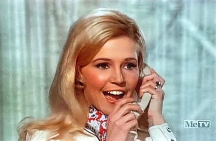 Discover The Bold Vision Of Louellen Aden: Collage As Storytelling