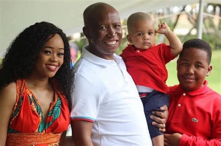 Unveiling Julius Malema's Net Worth: Surprising Truths Unearthed