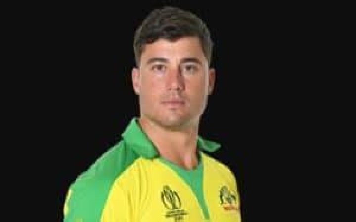 Unveiling Marcus Stoinis' Net Worth