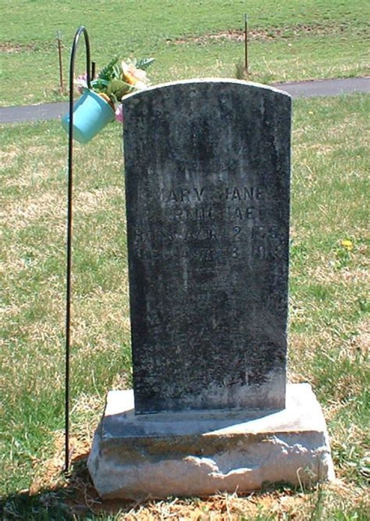 A Pioneer In Home Appliances