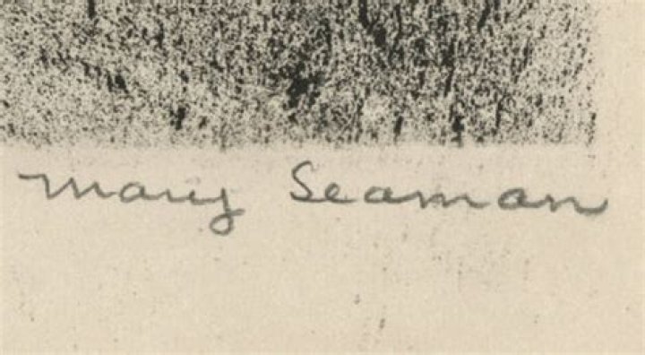 Dive Into Mary Lou Seaman's World