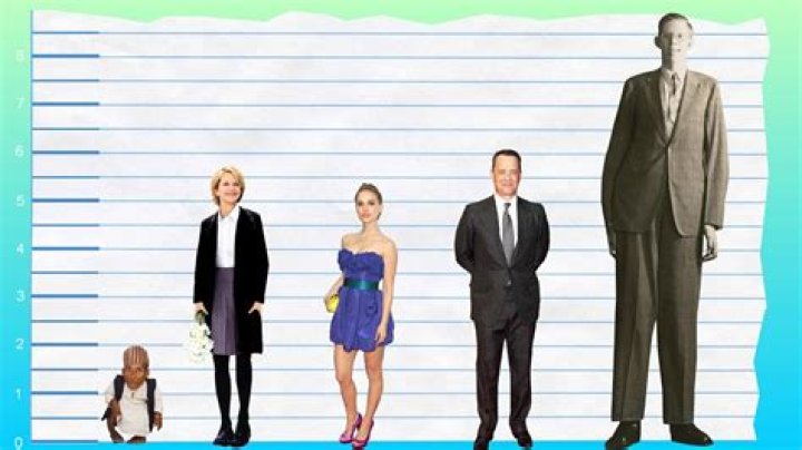 Discover The Secrets Behind Meg Ryan's Height And Its Impact