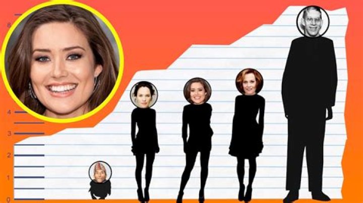 Unraveling Megan Boone's Height: Discoveries And Insights