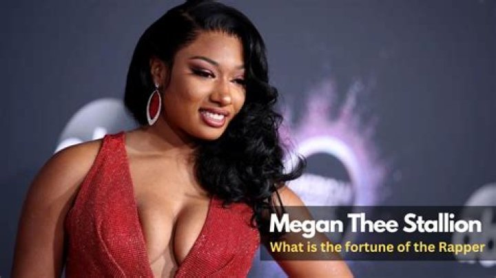 Unveiling Megan Thee Stallion's Net Worth 2024: Secrets And Insights Revealed