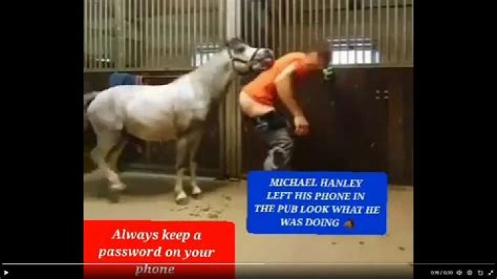 Unveiling The Secrets Of Michael Hanley's Horse Mastery