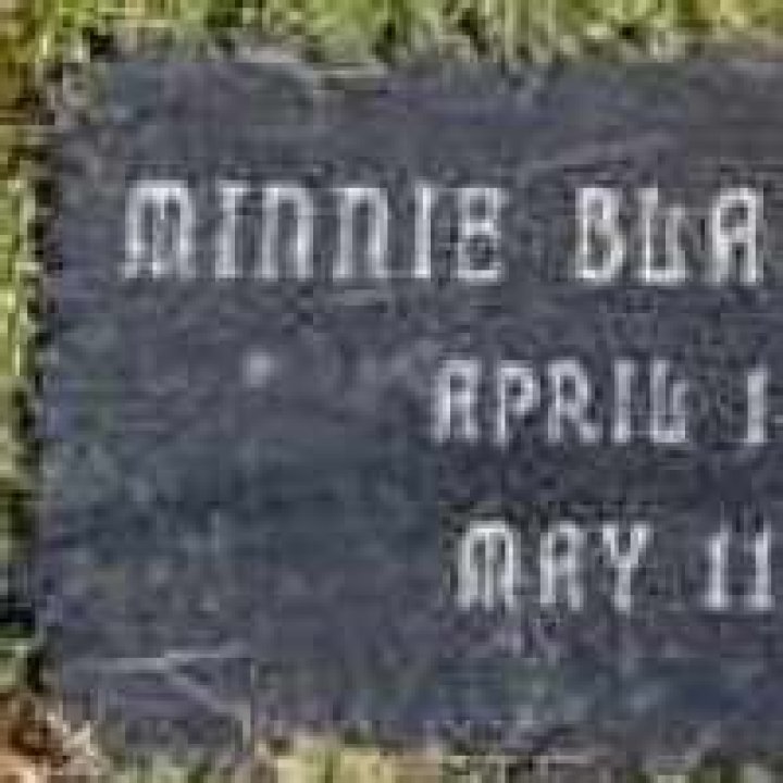 Unveiling The Artistic Legacy Of Minnie Blanche Aalders