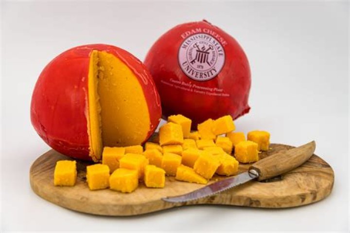 Unveil The Secrets Of Mississippi State Edam Cheese: Discoveries And Delights