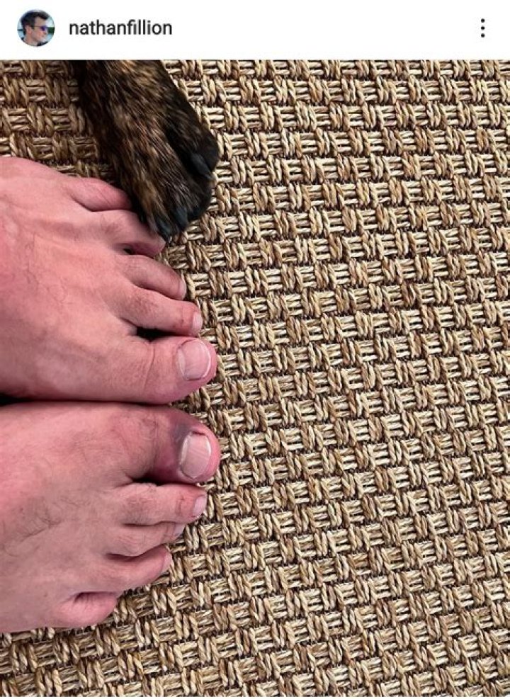 Unveiling The Secrets Of Nathan Fillion's Height: Discoveries And Insights