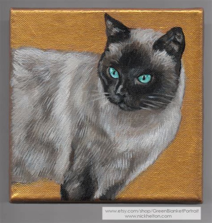 A Masterful Guide To Football Excellence