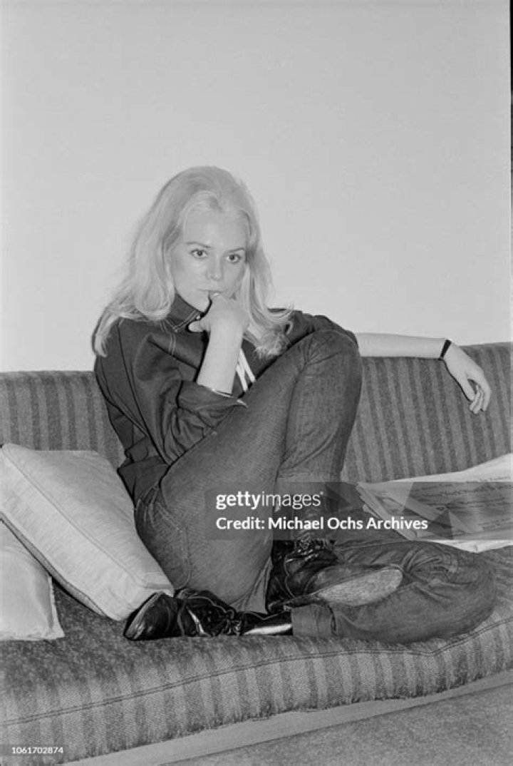 Unraveling Legal Expertise And Advocacy