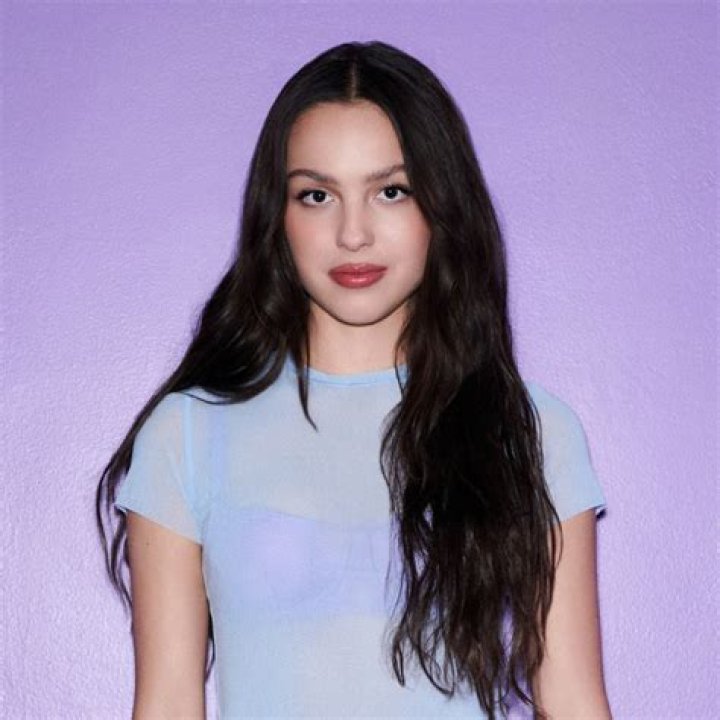 Olivia Rodrigo's Father's Job And Its Influence