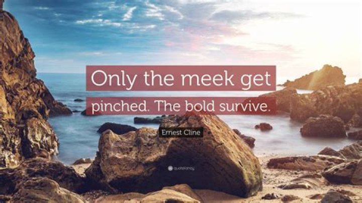 Discoveries And Insights From "Only The Meek Get Pinched, The Bold Survive"