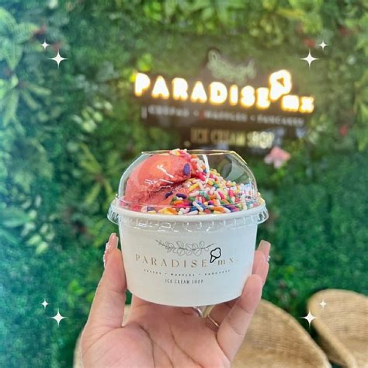 Insider Secrets And Captivating Truths Revealed