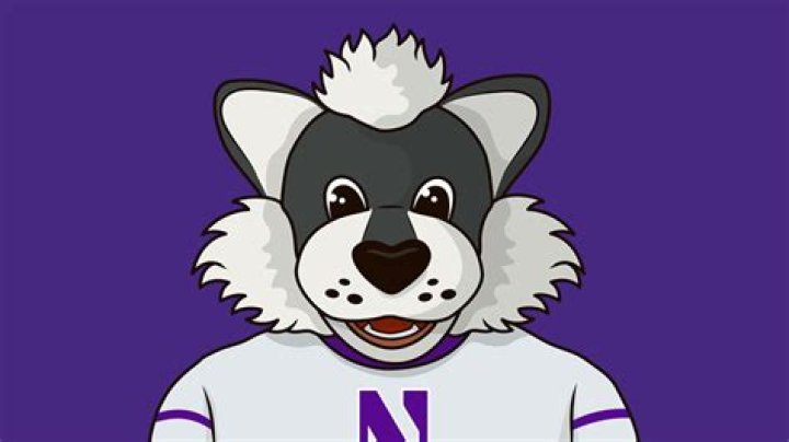 Unveiling The Height Enigma: Paul Anka's Stature Revealed