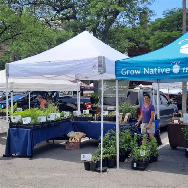 A Guide To Pop-Up Markets Near You