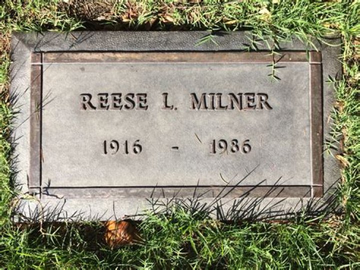 Uncover The Enchanting World Of Chattanooga's Reese Llewellyn Milner Stairs