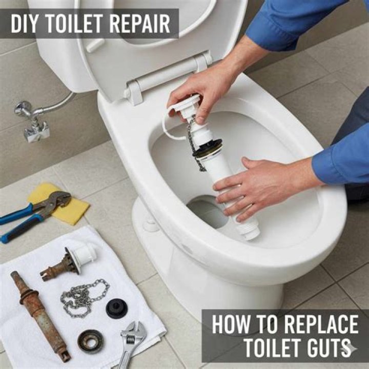 Replacing Toilet Guts For Ultimate Toilet Efficiency