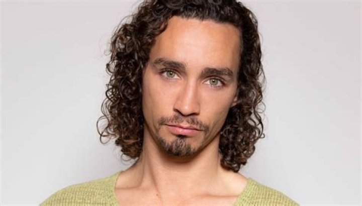 Unveiling "robert Sheehan Partner 2024": Discoveries And Insights Unraveled