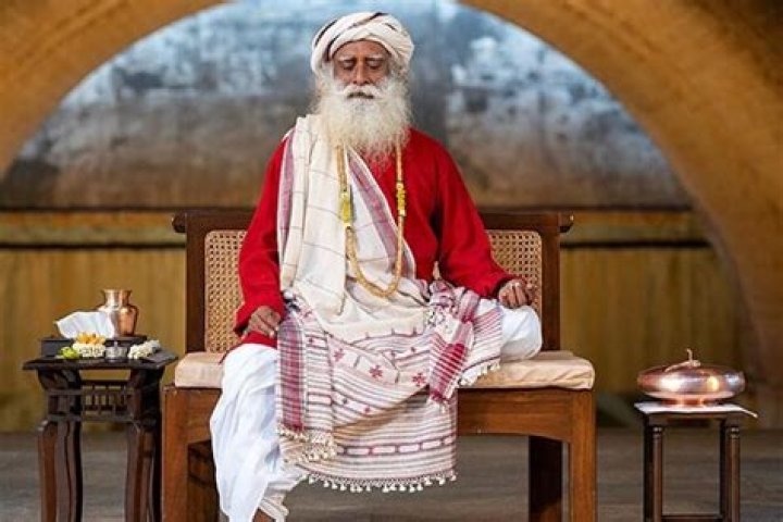 Sadhguru's Net Worth And Impact