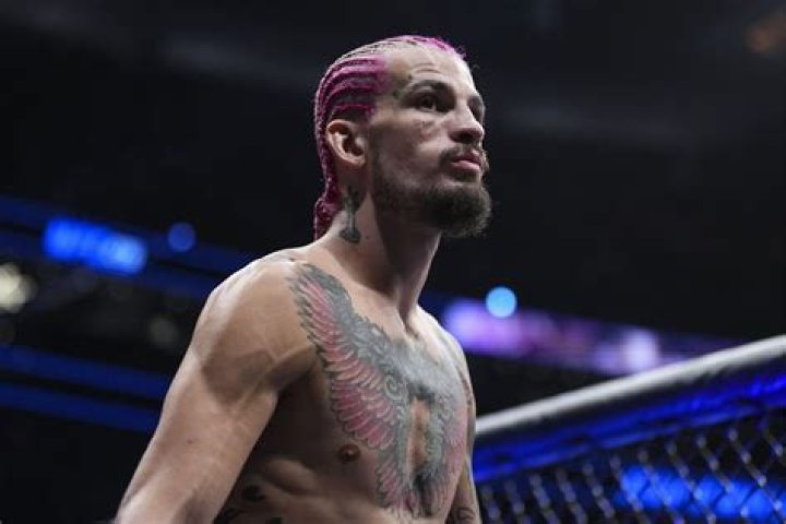 A Journey Of Fighting, Fortune, And Financial Finesse