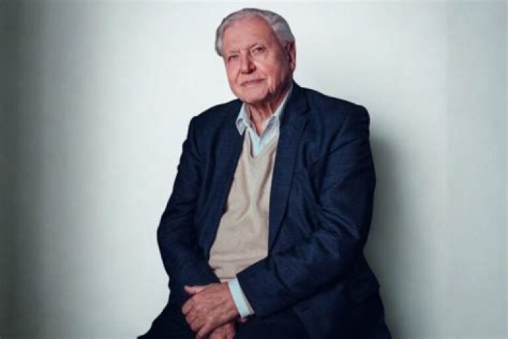 Unveil The Extraordinary Wealth Of Sir David Attenborough: Discoveries And Insights