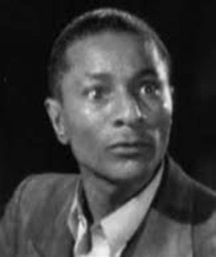 A Treasure Trove Of Comedic Genius