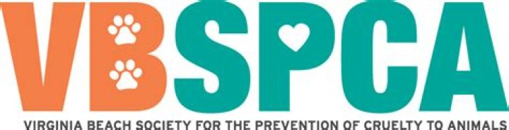 Dive Into The SPCA Of Virginia Beach