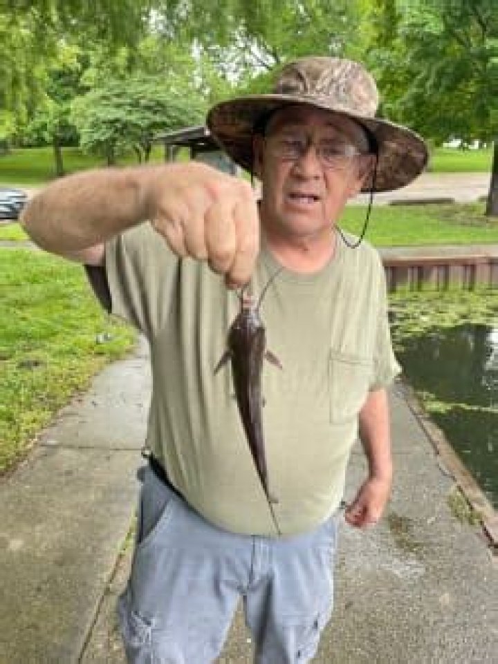 Unveiling The Life And Legacy Of Stephen Brannan: An Historical Deep Dive