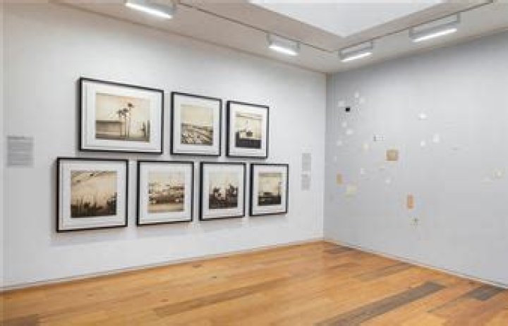 Discover The Enchanting World Of Susan Mikula's Art For Sale